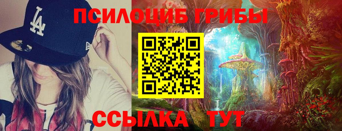 Псилоцибиновые грибы Cubensis Кемерово