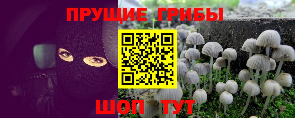 Галлюциногенные грибы MAGIC MUSHROOMS  Вход с VPN  Кемерово  Псилоцибиновые грибы прущие грибы 